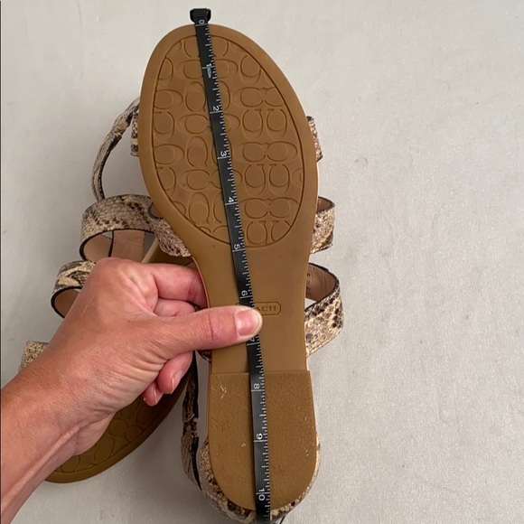 Coach Oleta tan brown python snake gladiator sandals 9 - Picture 7 of 8